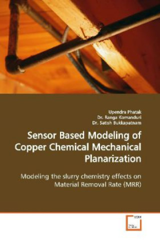 Sensor Based Modeling of Copper Chemical Mechanical  Planarization