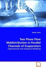 Two Phase Flow Maldistribution in Parallel Channels  of Evaporators