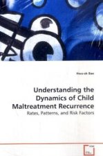 Understanding the Dynamics of Child Maltreatment  Recurrence