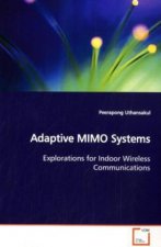 Adaptive MIMO Systems