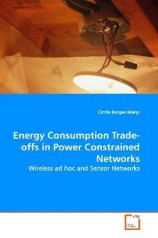 Energy Consumption Trade-offs in Power Constrained Networks