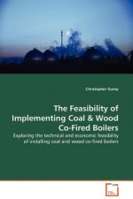 Feasibility of Implementing Coal
