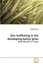 Zinc trafficking in the developing barley grain