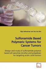 Sulfonamide Based Polymeric Systems for Cancer Tumors