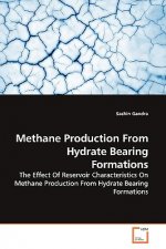 Methane Production From Hydrate Bearing Formations