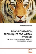 Synchronization Techniques for Wimax Systems
