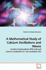 Mathematical Study of Calcium Oscillations and Waves