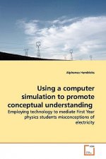 Using a computer simulation to promote conceptual understanding
