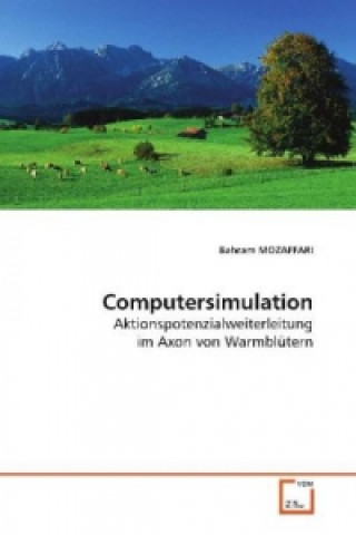Computersimulation
