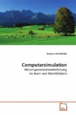 Computersimulation