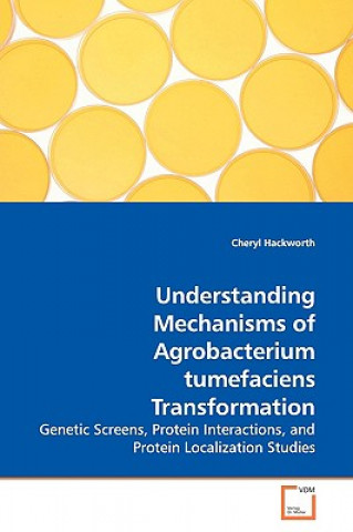 Understanding Mechanisms of Agrobacterium tumefaciens Transformation