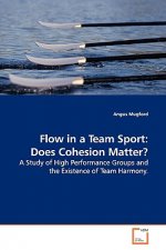 Flow in a Team Sport