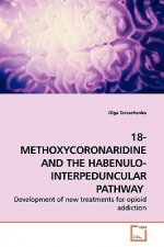 18-Methoxycoronaridine and the Habenulo-Interpeduncular Pathway