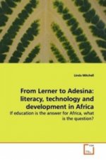 From Lerner to Adesina: literacy, technology and development in Africa