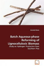 Batch Aqueous-phase Reforming of Lignocellulosic Biomass