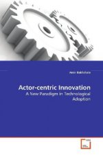Actor-centric Innovation