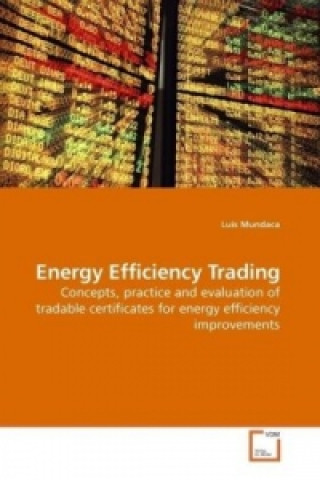 Energy Efficiency Trading