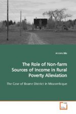 The Role of Non-farm Sources of Income in Rural  Poverty Alleviation
