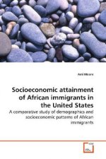 Socioeconomic attainment of African immigrants in  the United States