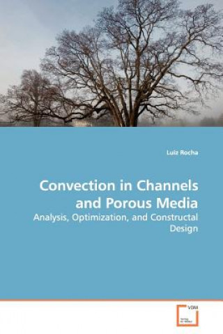 Convection in Channels and Porous Media