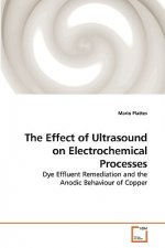 Effect of Ultrasound on Electrochemical Processes