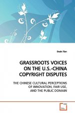 Grassroots Voices on the U.S.-China Copyright Disputes