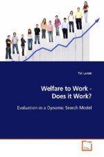 Welfare to Work - Does it Work?