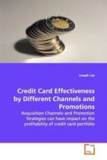 Credit Card Effectiveness by Different Channels and  Promotions