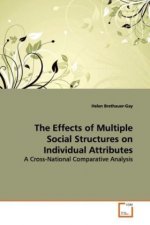 The Effects of Multiple Social Structures on Individual Attributes