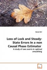 Loss of Lock and Steady-State Errors In a non Causal Phase Estimator