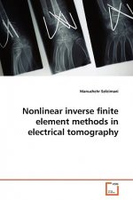 Nonlinear inverse finite element methods in electrical tomography