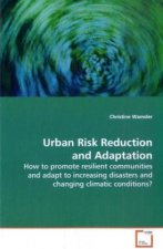 Urban Risk Reduction and Adaptation