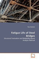 Fatigue Life of Steel Bridges