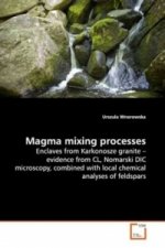 Magma mixing processes