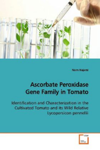 Ascorbate Peroxidase Gene Family in Tomato