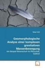 Geomorphologische Analyse einer komplexen gravitativen Massenbewegung