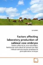 Factors affecting laboratory production of sahiwal  cow embryos