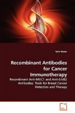 Recombinant Antibodies for Cancer Immunotherapy