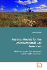Analysis Models for the Unconventional Gas Reservoirs