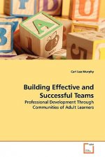 Building Effective and Successful Teams