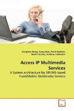 Access IP Multimedia Services
