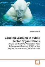 Gauging Learning in Public Sector Organizations