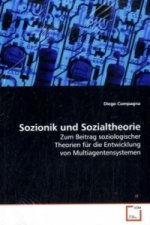 Sozionik und Sozialtheorie