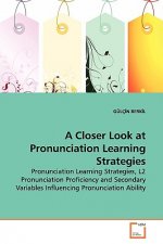 Closer Look at Pronunciation Learning Strategies