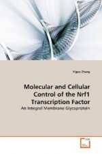 Molecular and Cellular Control of the Nrf1 Transcription Factor