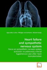 Heart failure and sympathetic nervous system