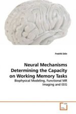 Neural Mechanisms Determining the Capacity on  Working Memory Tasks