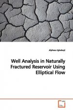 Well Analysis in Naturally Fractured Reservoir Using Elliptical Flow