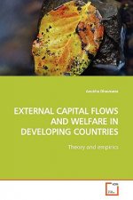 External Capital Flows and Welfare in Developing Countries