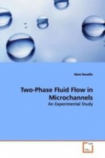 Two-Phase Fluid Flow in Microchannels